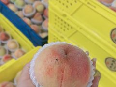 -老袁家蜜桃农场·阳山水蜜桃