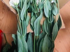 -昆明国际花卉拍卖交易中心