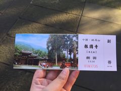 -峨眉山报国寺