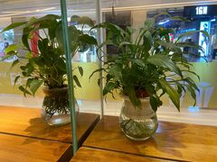 -艾薯夫妇Aysh(红山店)