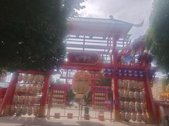 -特克斯八卦城