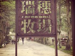 -瑞穗牧场