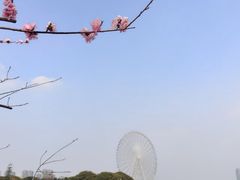 -无锡蠡湖国家湿地公园-蠡园