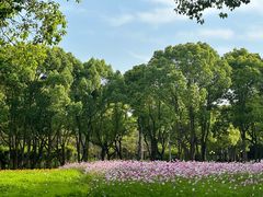 -华东政法大学(松江校区)