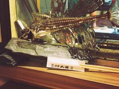 景观位-札幌二条市场 大矶(本店)