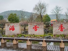 -香雪海