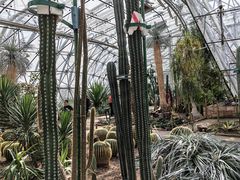 -北京植物园-展览温室