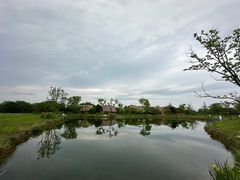 -良渚古城遗址公园