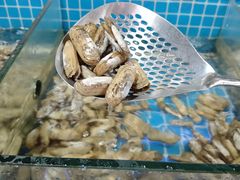 -海韵之星邮轮水会(明发商业广场店)