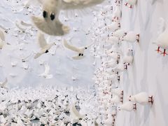 -上海宝龙美术馆