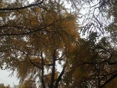 -四川大学华西医院-地下停车场