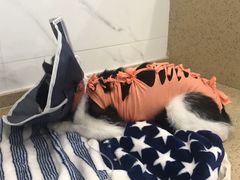 -伟伟宠物医院·CT影像中心·瑞派犬猫综合性门诊(汉口总院)
