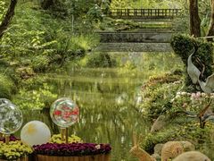 -上海共青森林公园