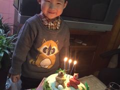 -咖咖熊蛋糕定制·蓝风车动物奶油