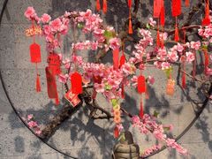 -呷哺呷哺 小火锅 (浦东新欧尚超市店)