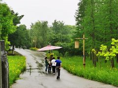 -梁鸿国家湿地公园