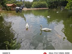 -深圳野生动物园