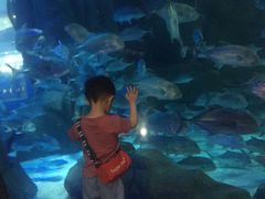 -成都浩海立方海洋公园