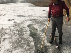 -白洋淀锅里口灶台鱼