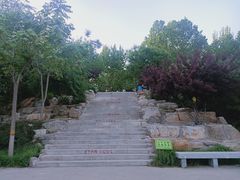 -石家庄市动物园