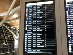 -上海浦东国际机场-T2航站楼