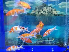 -居然之家家居生活MALL(丽泽店)