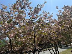 -同里国家湿地公园