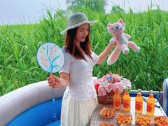 -白洋淀景区