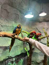 -Zoolung Zoolung动物主题公园(海信广场店)