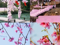 -世间香境·七溪地