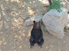 -石家庄市动物园