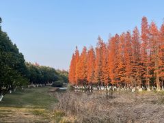 -艾溪湖湿地公园