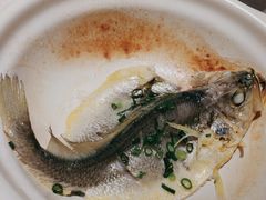 -蘇锦宴·淮扬菜烤鸭·小院(三元桥霄云路店)