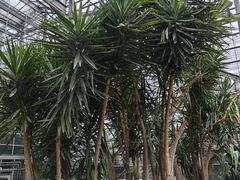-南山植物园