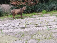 -城隍阁