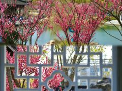 -东南大学(九龙湖校区)