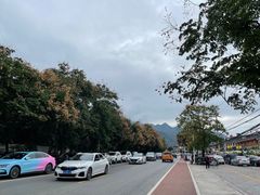 -都江堰石锅鱼