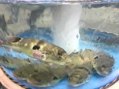 -阳光海鲜城(太仓万达店)