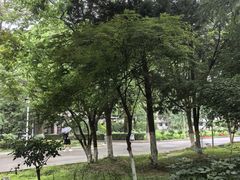 -陕西师范大学(雁塔校区)