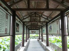 -千龙湖生态旅游度假区