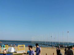 -碧海金沙
