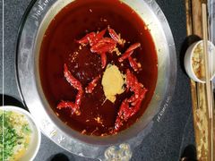 -大龙燚火锅(春熙店)