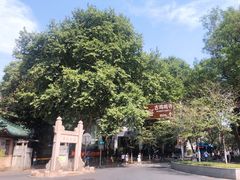 -鸡鸣赐茶(鸡鸣寺路店)