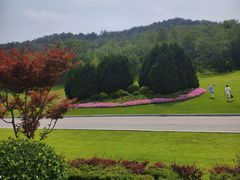 -棒棰岛宾馆景区
