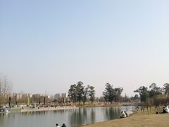 -两河城市森林公园
