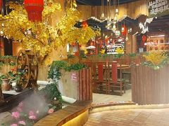 -老滇山寨•云南特色菜•地方菜•民族风情歌舞表演(金碧店)