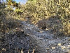 -北京十三陵国家森林公园蟒山景区