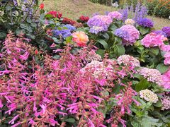 -人民公园(罗湖区)