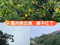 -南北湖风景区