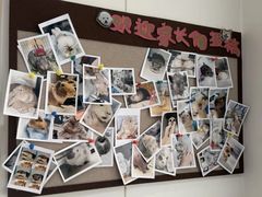 -立德异宠动物医院.兔鸟爬.内窥镜(天河店)
